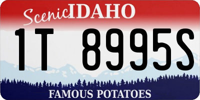 ID license plate 1T8995S