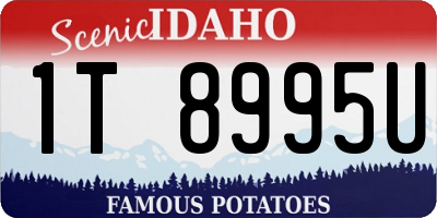 ID license plate 1T8995U