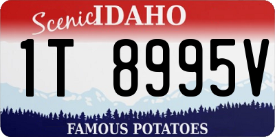ID license plate 1T8995V