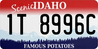 ID license plate 1T8996C