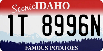 ID license plate 1T8996N