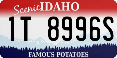 ID license plate 1T8996S