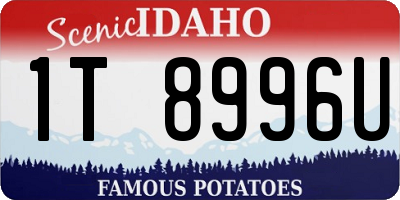 ID license plate 1T8996U