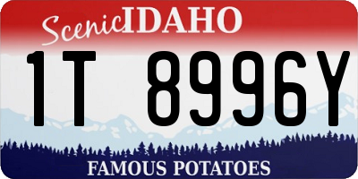 ID license plate 1T8996Y