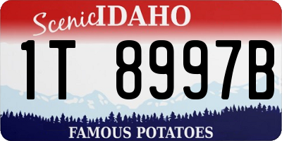 ID license plate 1T8997B