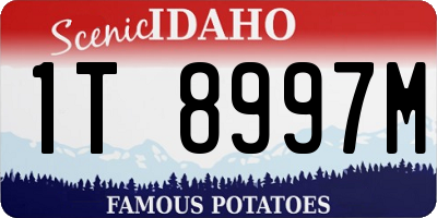 ID license plate 1T8997M