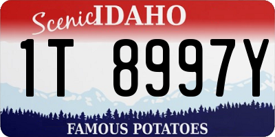 ID license plate 1T8997Y