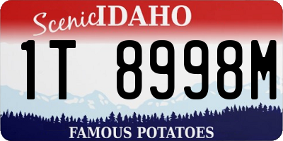 ID license plate 1T8998M