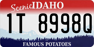 ID license plate 1T8998Q