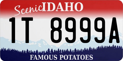 ID license plate 1T8999A