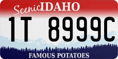 ID license plate 1T8999C