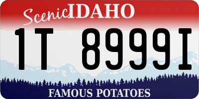 ID license plate 1T8999I
