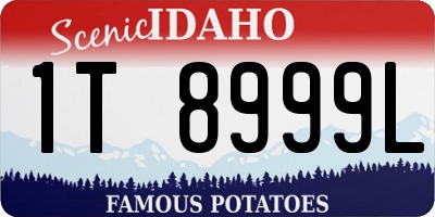 ID license plate 1T8999L