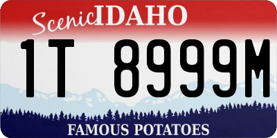 ID license plate 1T8999M