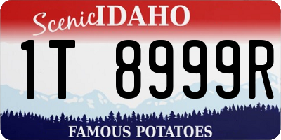 ID license plate 1T8999R