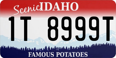 ID license plate 1T8999T