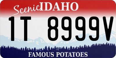 ID license plate 1T8999V