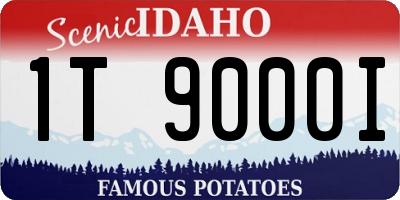 ID license plate 1T9000I