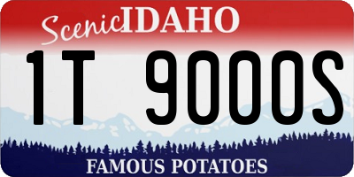 ID license plate 1T9000S
