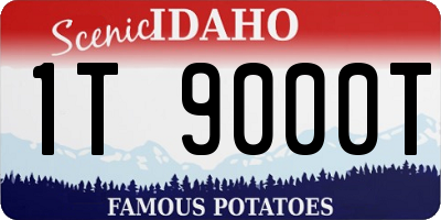 ID license plate 1T9000T