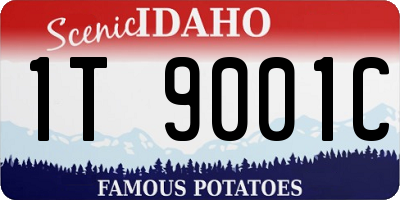 ID license plate 1T9001C