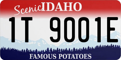 ID license plate 1T9001E