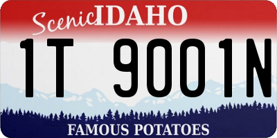 ID license plate 1T9001N