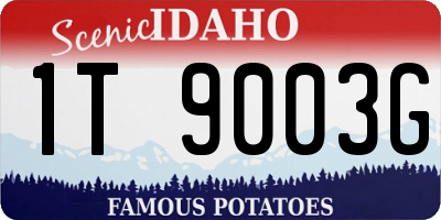 ID license plate 1T9003G