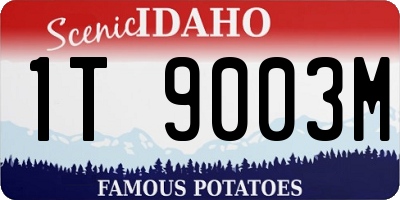 ID license plate 1T9003M