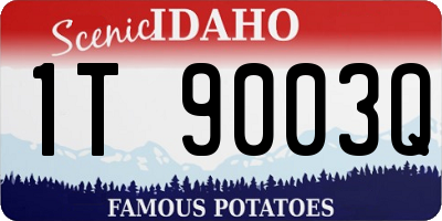 ID license plate 1T9003Q