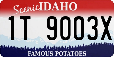 ID license plate 1T9003X