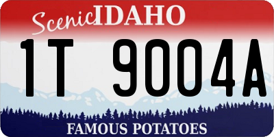 ID license plate 1T9004A