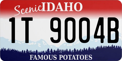 ID license plate 1T9004B