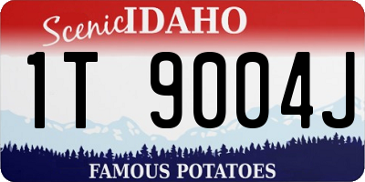 ID license plate 1T9004J