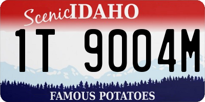 ID license plate 1T9004M