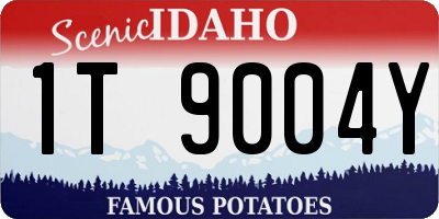 ID license plate 1T9004Y