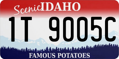 ID license plate 1T9005C