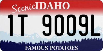 ID license plate 1T9009L