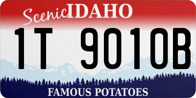 ID license plate 1T9010B