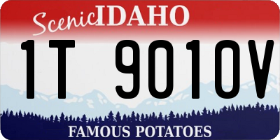 ID license plate 1T9010V