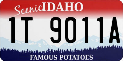 ID license plate 1T9011A