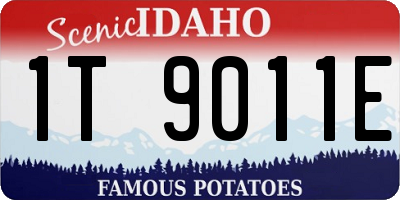 ID license plate 1T9011E