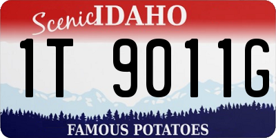 ID license plate 1T9011G