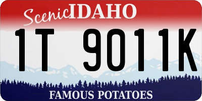 ID license plate 1T9011K
