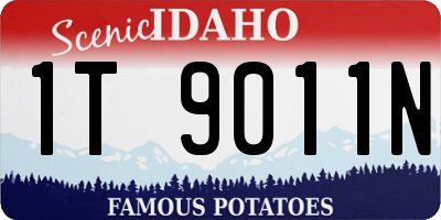 ID license plate 1T9011N