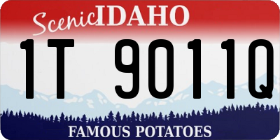 ID license plate 1T9011Q