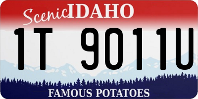 ID license plate 1T9011U