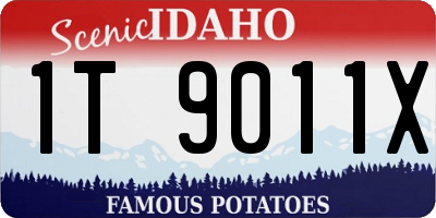 ID license plate 1T9011X