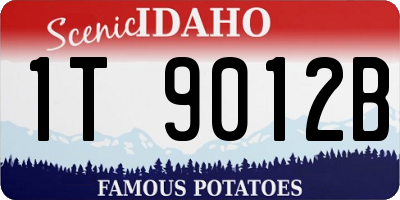 ID license plate 1T9012B