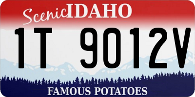 ID license plate 1T9012V
